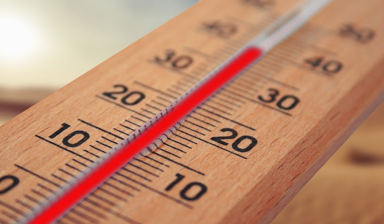De beste digitale thermometer vergelijken